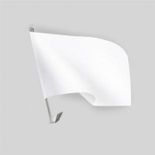 Car flag
